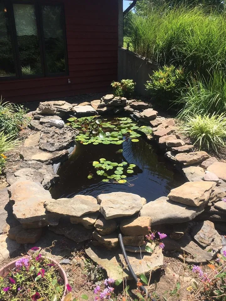 Custom yard maintenance in Cobden, IL - Duck Works Lawn Care