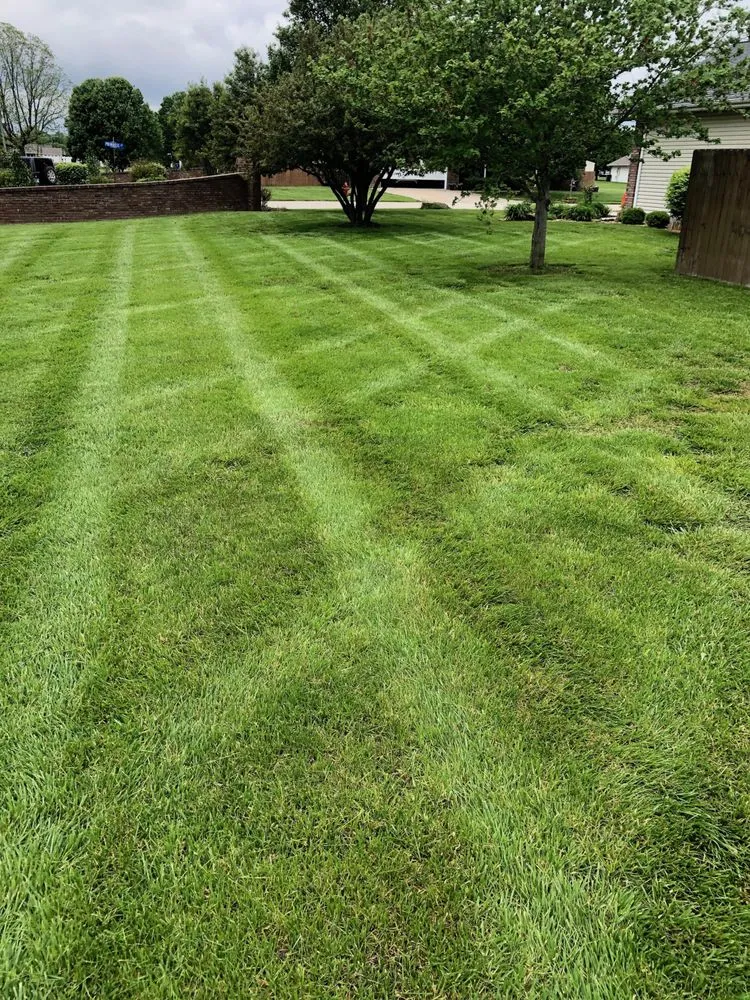 Professional outdoor landscaping with custom design in Cobden, IL by Duck Works Lawn Care