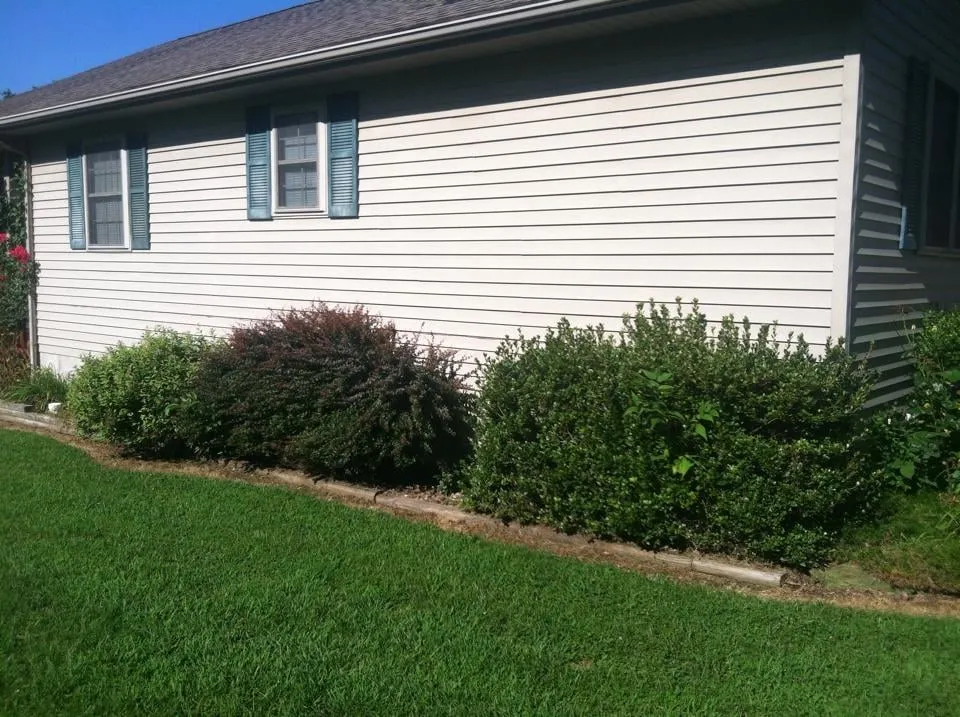 Reliable lawn care service for outdoor upgrades in Cobden, IL by Duck Works Lawn Care