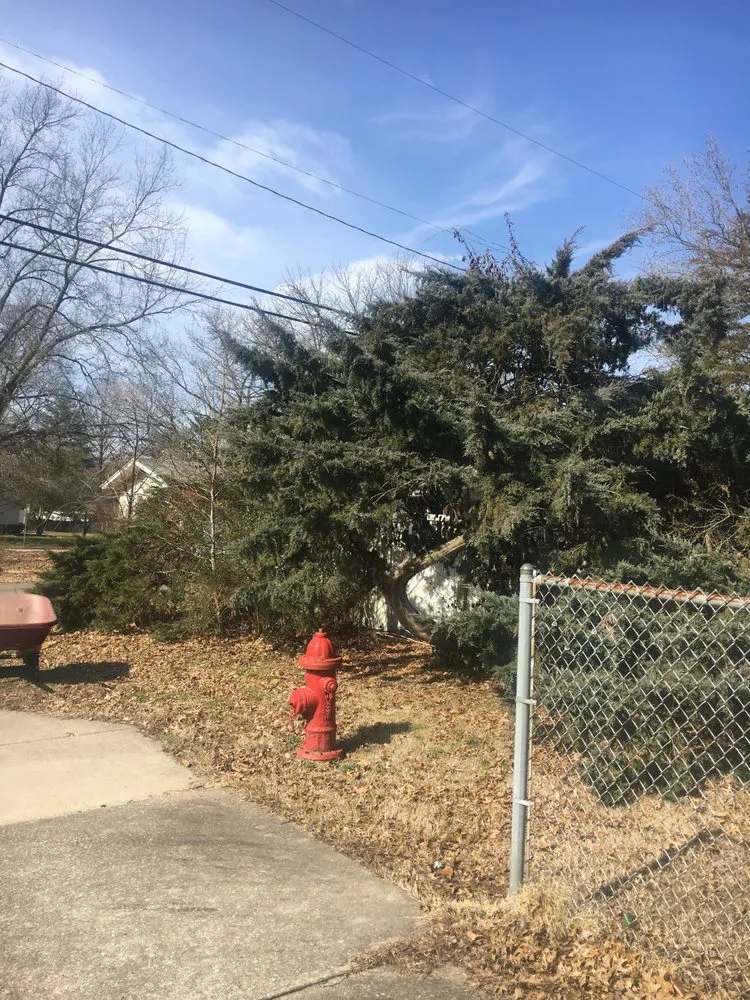 Top-rated residential landscaping for residential properties in Cobden, IL by Duck Works Lawn Care