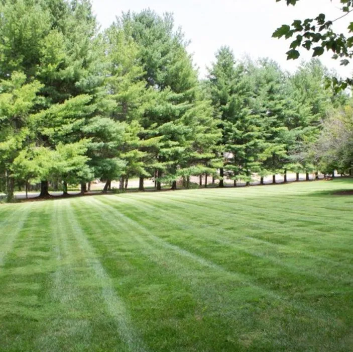 Professional landscape design experts serving Hendersonville, NC - Ducker Land Management Company