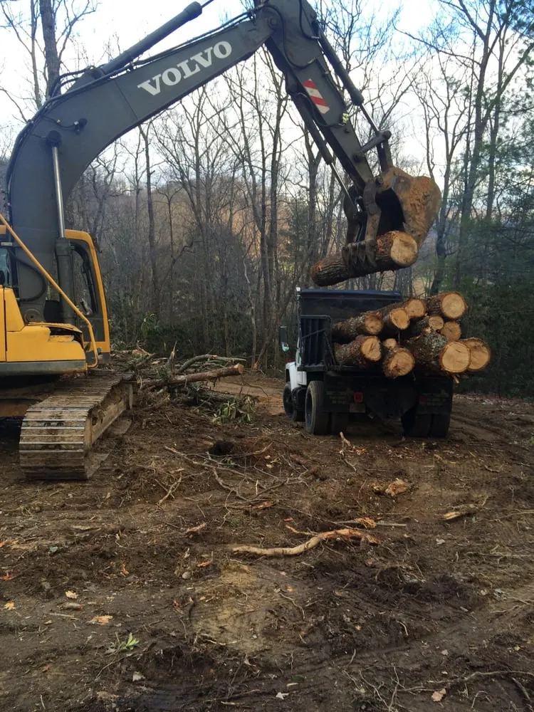 Trusted lawn care service in Hendersonville, NC - Ducker Land Management Company