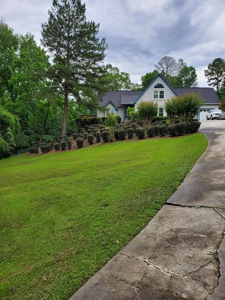 Expert lawn care service in Macon, GA - Duckie Deez Jr Lawn & More