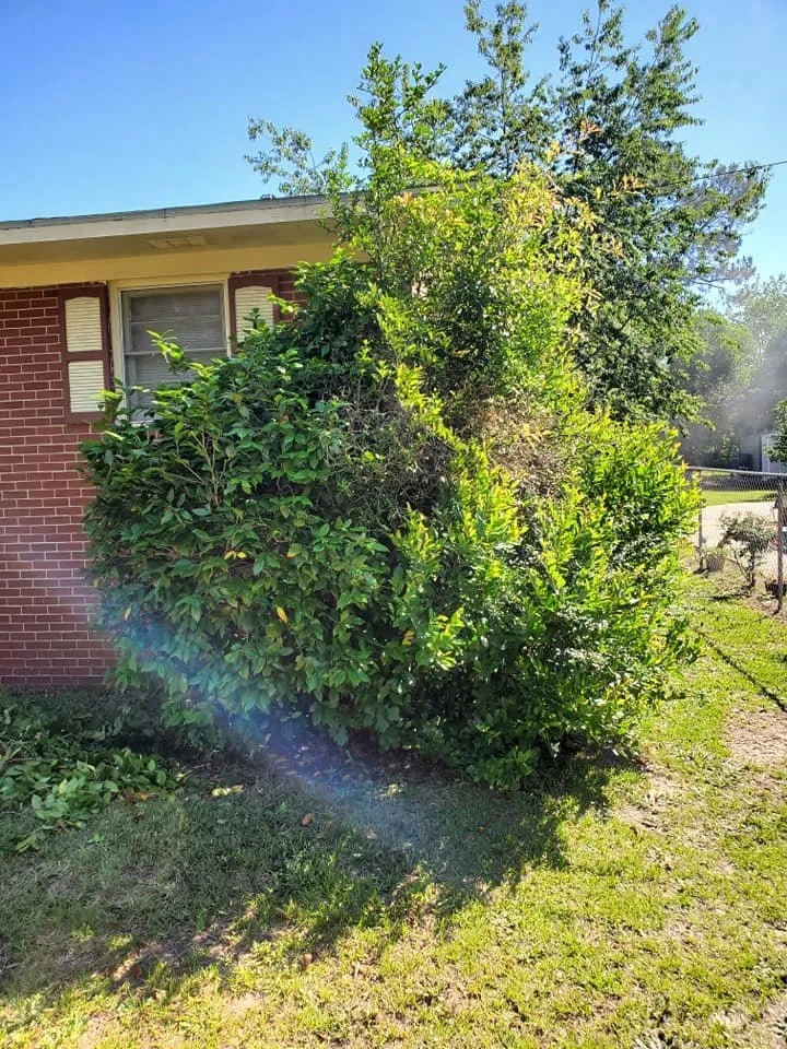 Top-rated outdoor landscaping near you across Macon, GA - Duckie Deez Jr Lawn & More