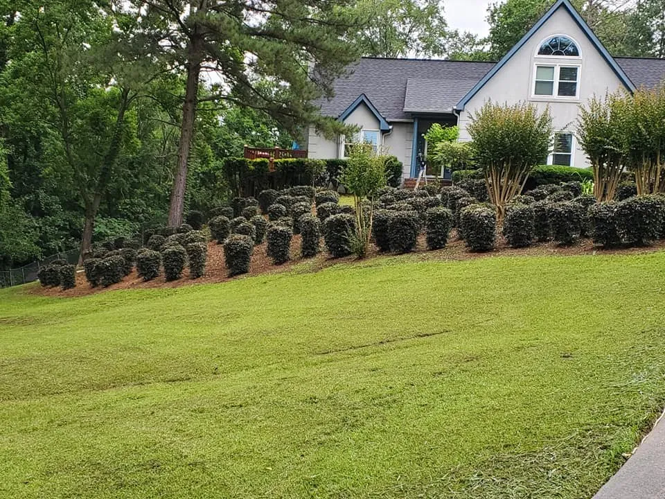 Custom landscape installation for homes in Macon, GA by Duckie Deez Jr Lawn & More