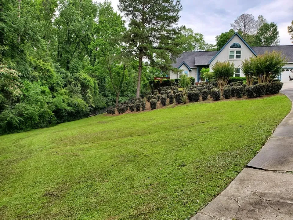 Custom lawn care service for residential properties in Macon, GA by Duckie Deez Jr Lawn & More
