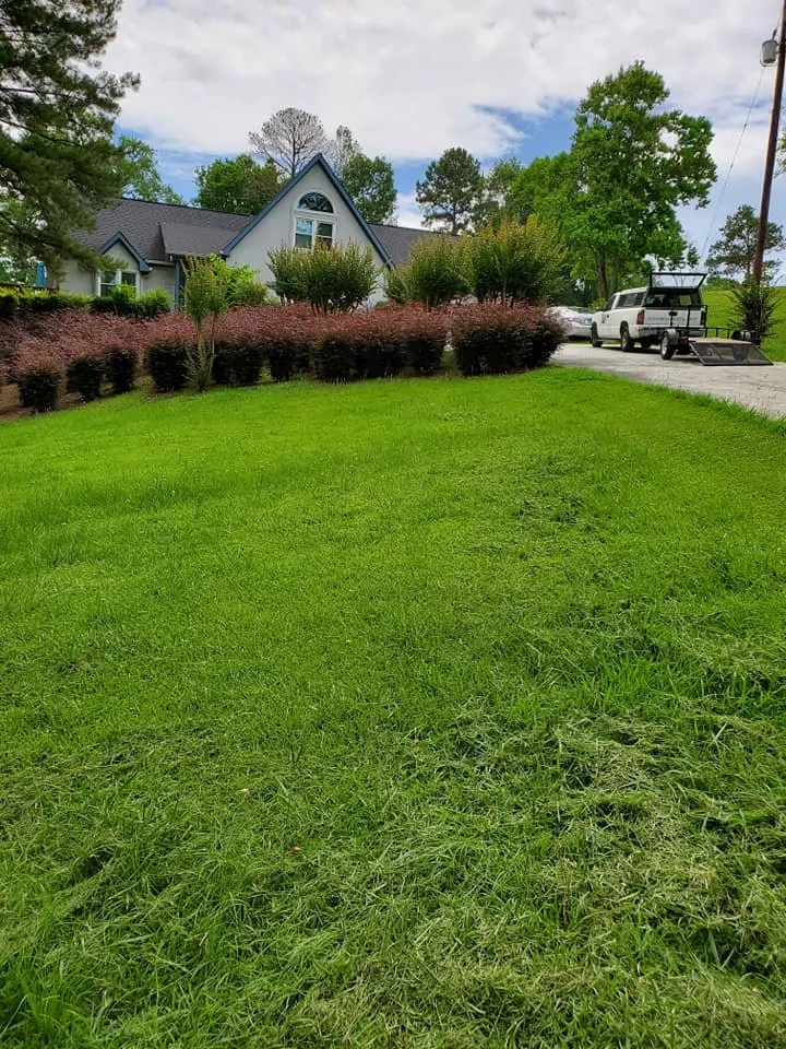 Affordable residential landscaping experts serving Macon, GA - Duckie Deez Jr Lawn & More