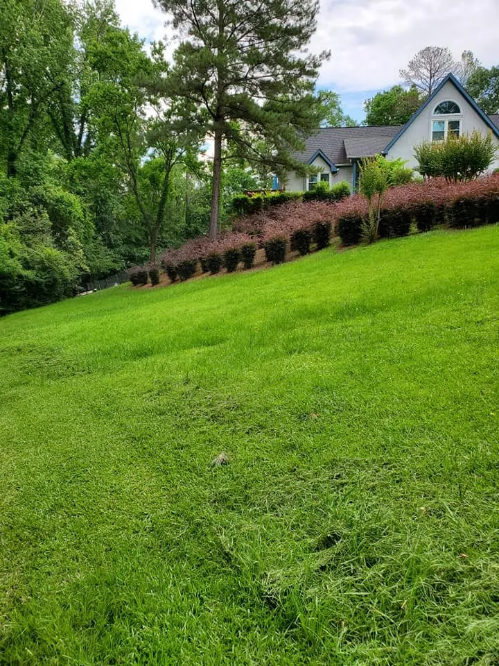 Expert residential landscaping near you across Macon, GA - Duckie Deez Jr Lawn & More