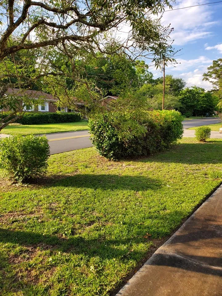 Expert garden landscaping for outdoor upgrades in Macon, GA by Duckie Deez Jr Lawn & More