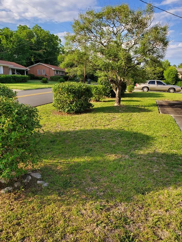 Professional landscape installation experts serving Macon, GA - Duckie Deez Jr Lawn & More