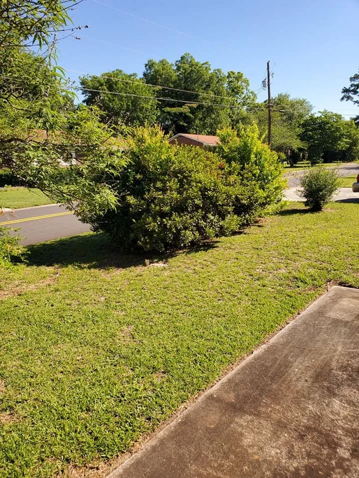 Local landscape design in Macon, GA - Duckie Deez Jr Lawn & More