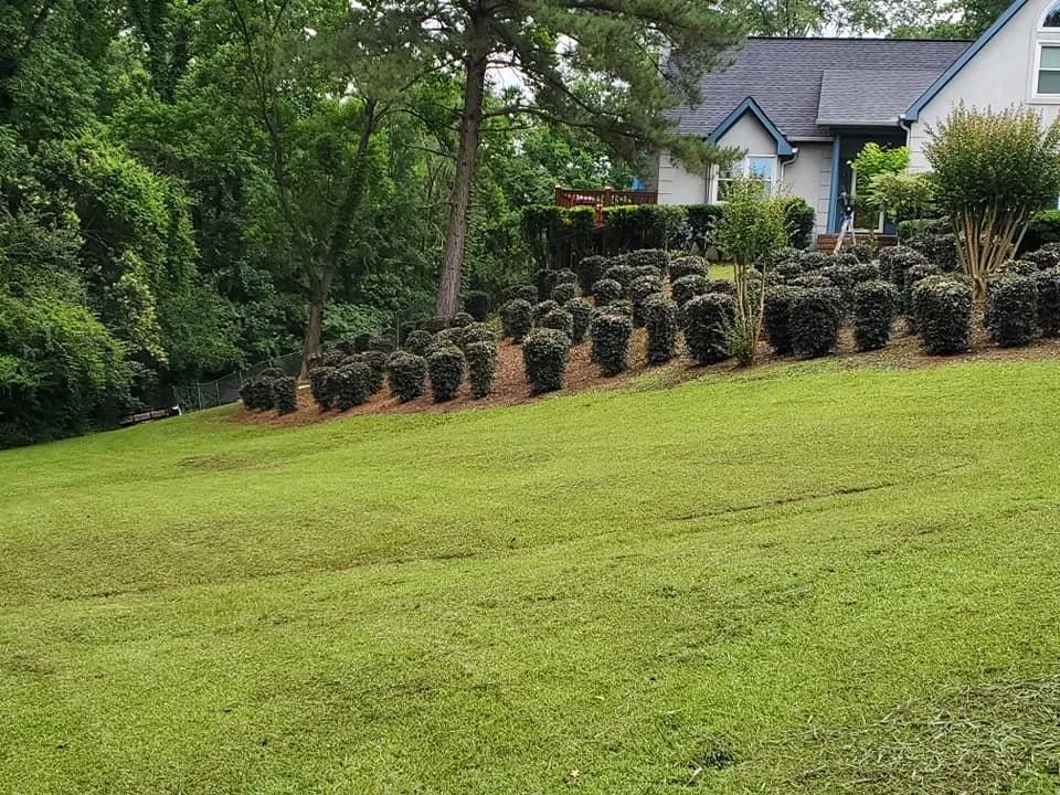 Professional yard maintenance in Macon, GA - Duckie Deez Jr Lawn & More
