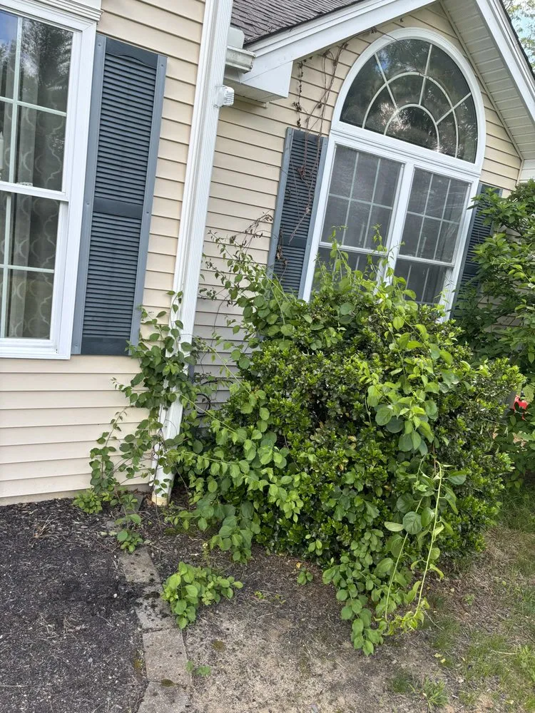 Trusted residential landscaping in Atkinson, NH - Duckies Pressure Washing