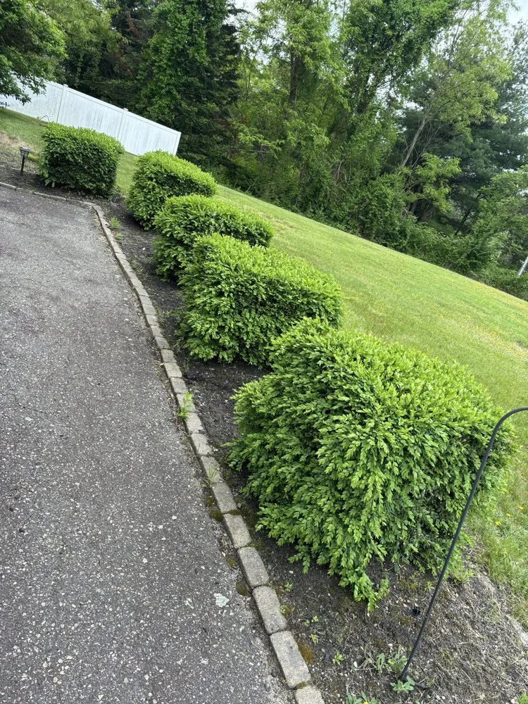 Expert lawn mowing service in Atkinson, NH by Duckies Pressure Washing