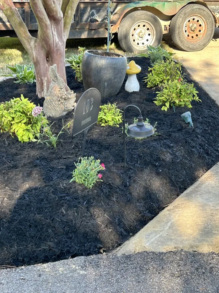 Trusted yard cleanup service in Booneville, MS - Duckingham Landscaping