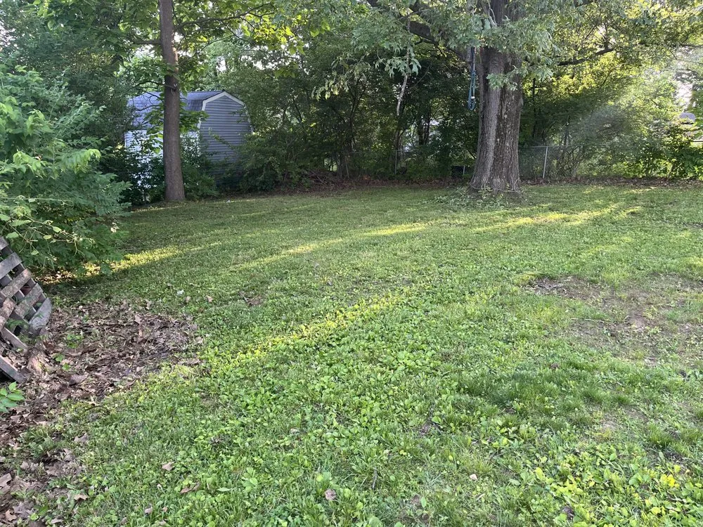 Custom residential landscaping for outdoor upgrades across Wilmington, OH - Duck’s & Bell’s