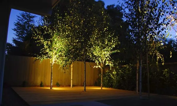 Ducks Landscaping and Property Land Management Logo