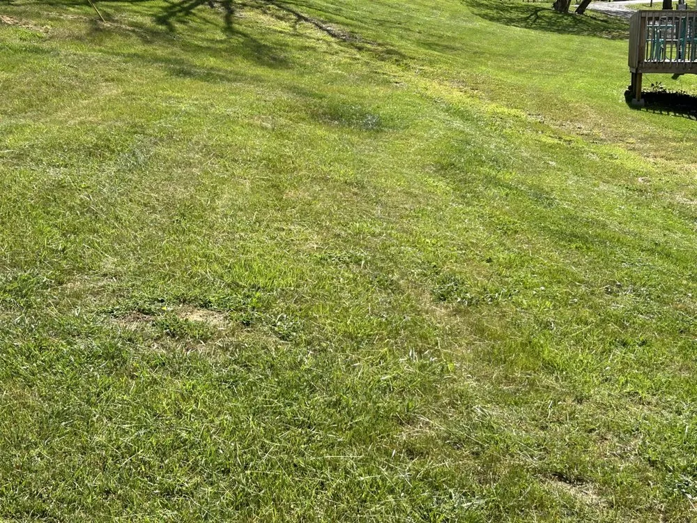 Affordable landscape design for homes in Christiansburg, VA by Ducks Landscaping