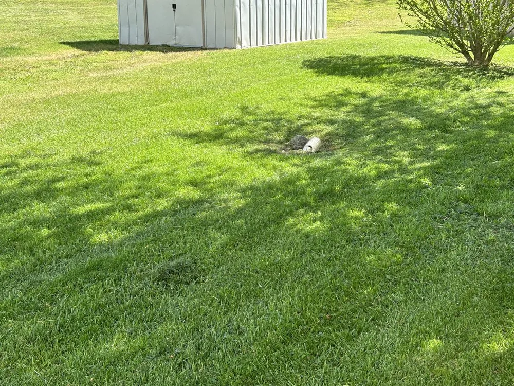 Professional landscaping services in Christiansburg, VA by Ducks Landscaping