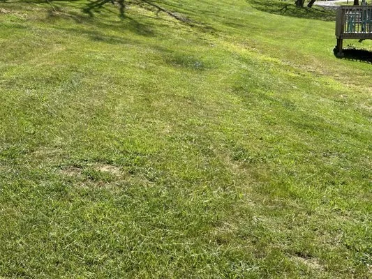 Ducks Landscaping Logo