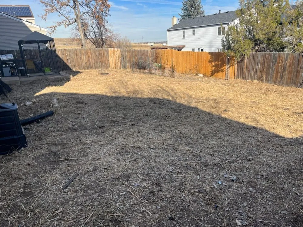 Reliable yard maintenance experts serving Lakewood, CO - Duckson Landscaping and Maintenance