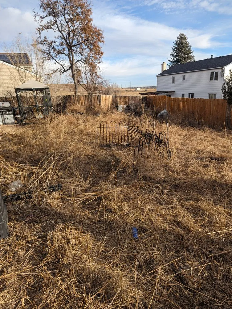 Affordable lawn mowing service in Lakewood, CO by Duckson Landscaping and Maintenance