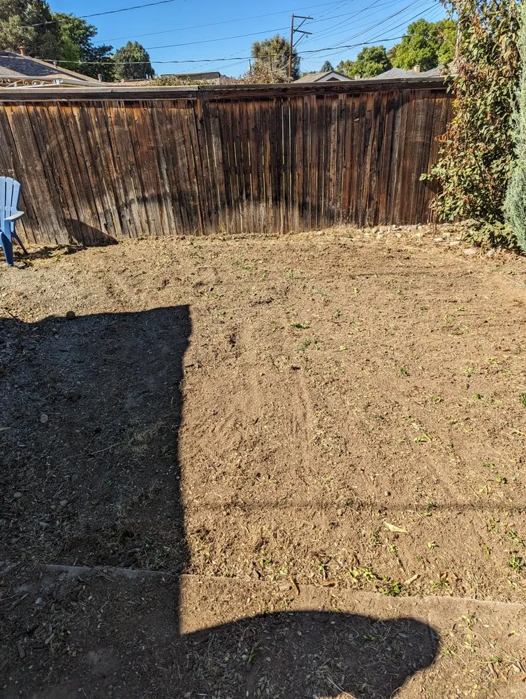 Professional landscape design in Lakewood, CO - Duckson Landscaping and Maintenance