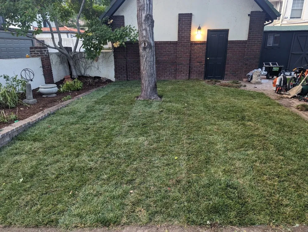 Professional yard maintenance in Lakewood, CO - Duckson Landscaping and Maintenance