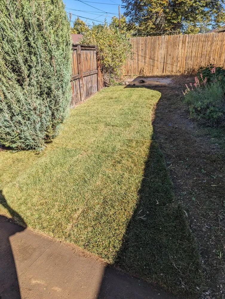 Trusted landscape design for outdoor upgrades across Lakewood, CO - Duckson Landscaping and Maintenance