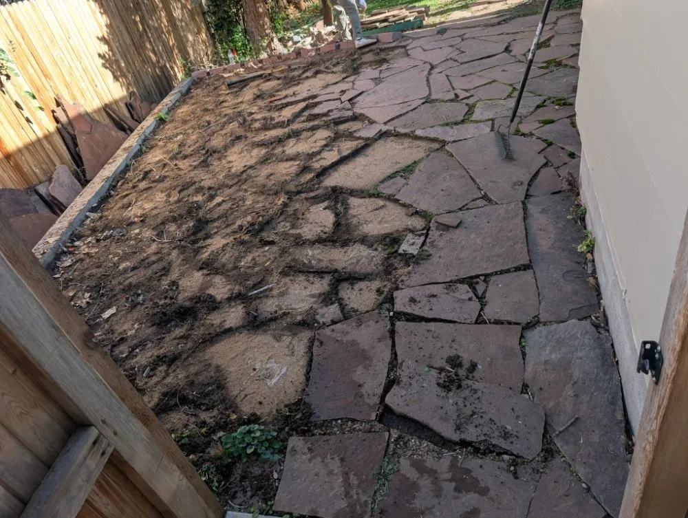 Trusted yard maintenance in Lakewood, CO by Duckson Landscaping and Maintenance