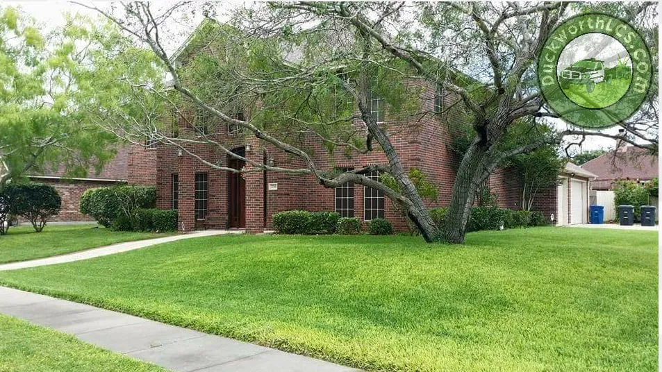 Local landscape design in Corpus Christi, TX by Duckworth Lawn Care Service
