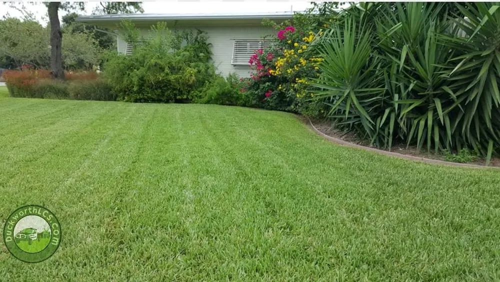 Local lawn care service in Corpus Christi, TX by Duckworth Lawn Care Service