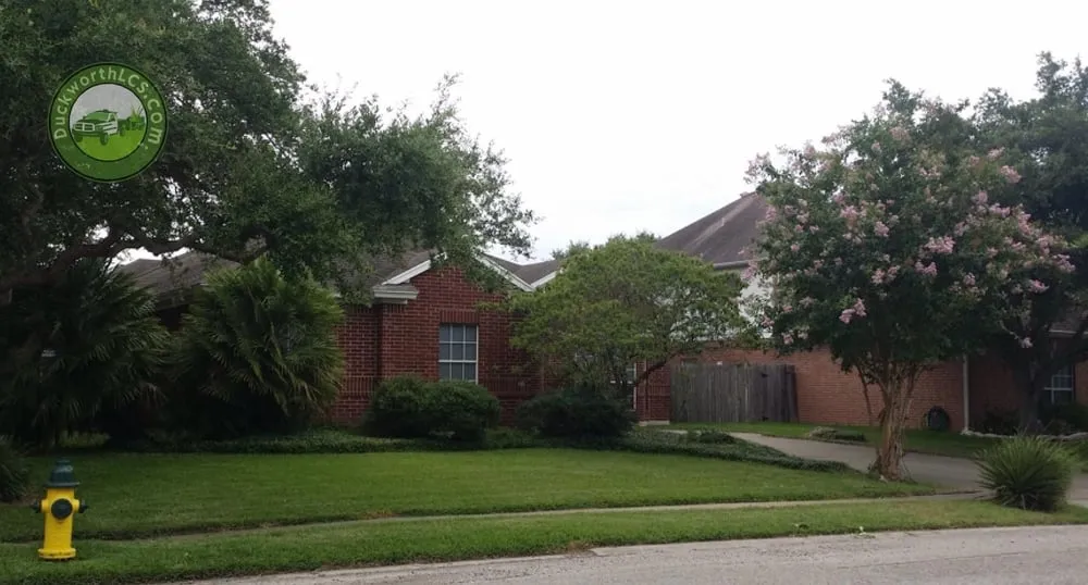 Local lawn care service in Corpus Christi, TX by Duckworth Lawn Care Service