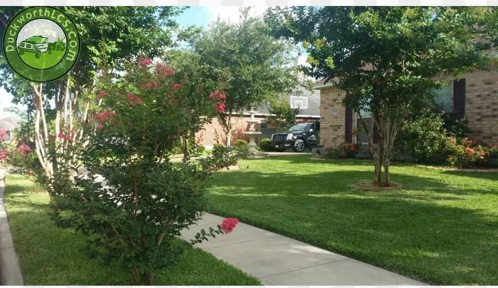 Affordable lawn care service with custom design across Corpus Christi, TX - Duckworth Lawn Care Service