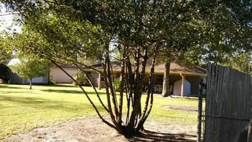 Custom lawn mowing service for homes across Pasadena, TX - Duckworth Tree Service and Landscaping