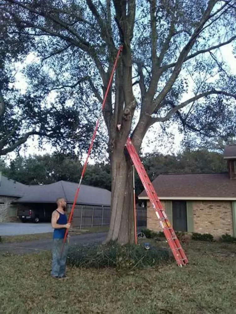 Top-rated lawn mowing service in Pasadena, TX by Duckworth Tree Service and Landscaping