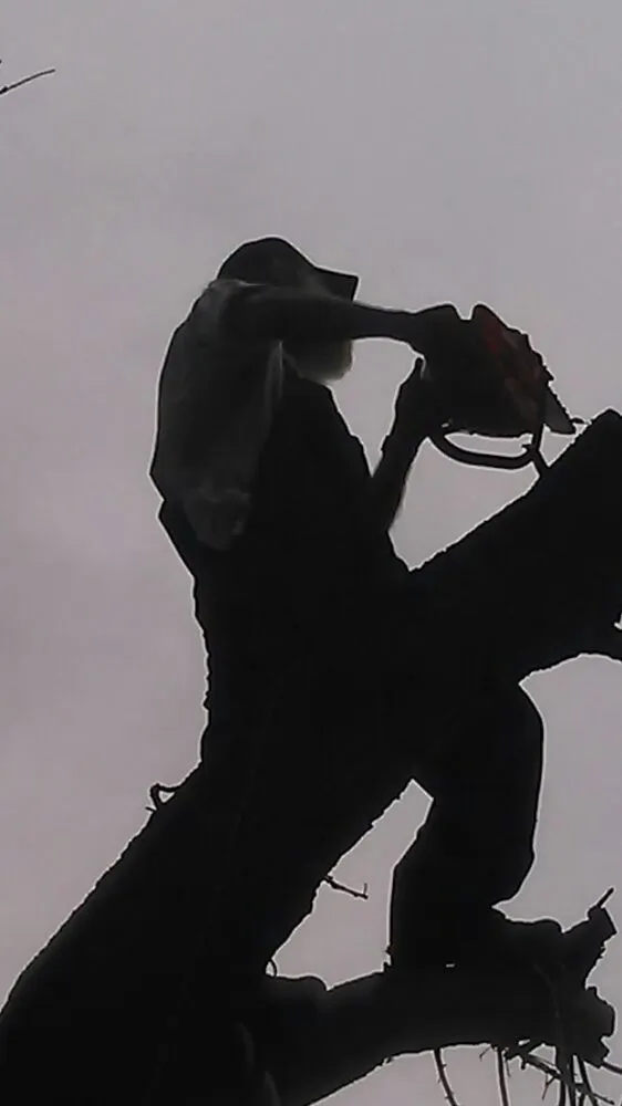 Trusted landscaping services in Pasadena, TX - Duckworth Tree Service and Landscaping