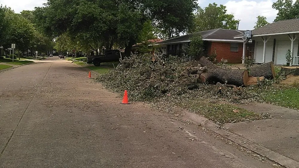 Reliable outdoor landscaping for year-round maintenance across Pasadena, TX - Duckworth Tree Service and Landscaping