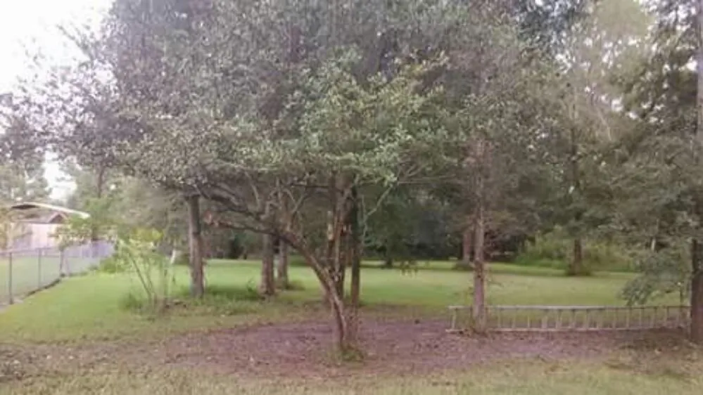 Reliable lawn care service in Pasadena, TX - Duckworth Tree Service and Landscaping