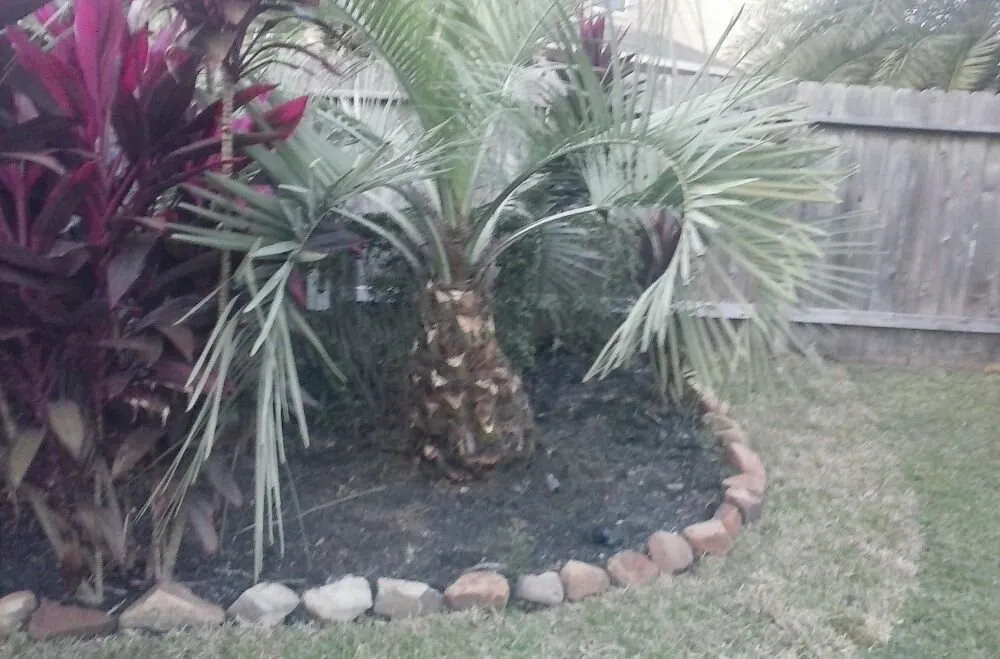 Expert lawn care service experts serving Pasadena, TX - Duckworth Tree Service and Landscaping