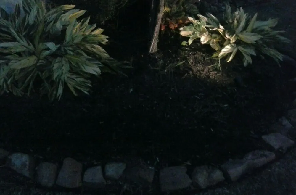 Affordable landscape installation for beautiful yards across Pasadena, TX - Duckworth Tree Service and Landscaping