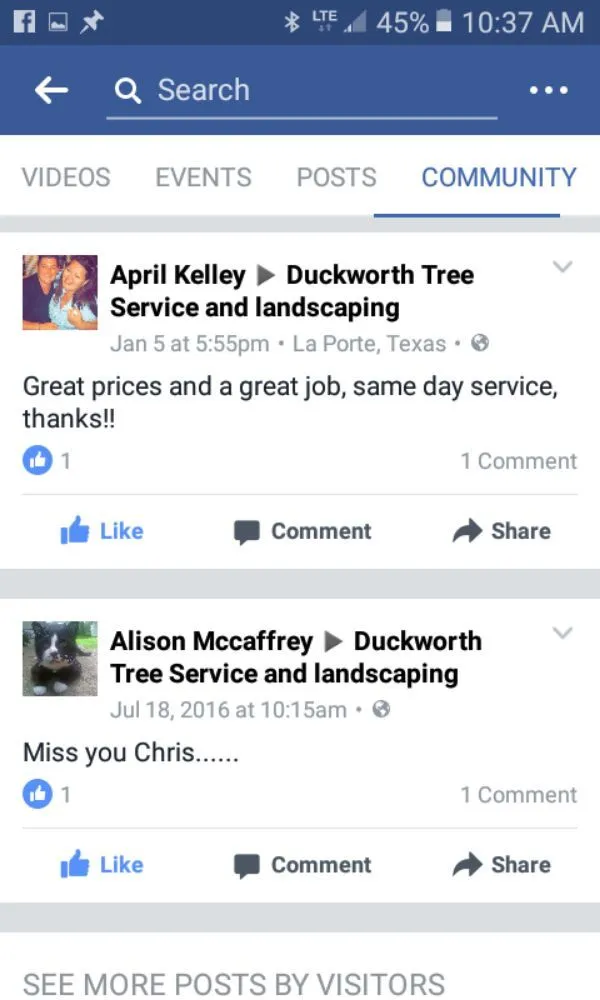 Trusted landscape design in Pasadena, TX by Duckworth Tree Service and Landscaping