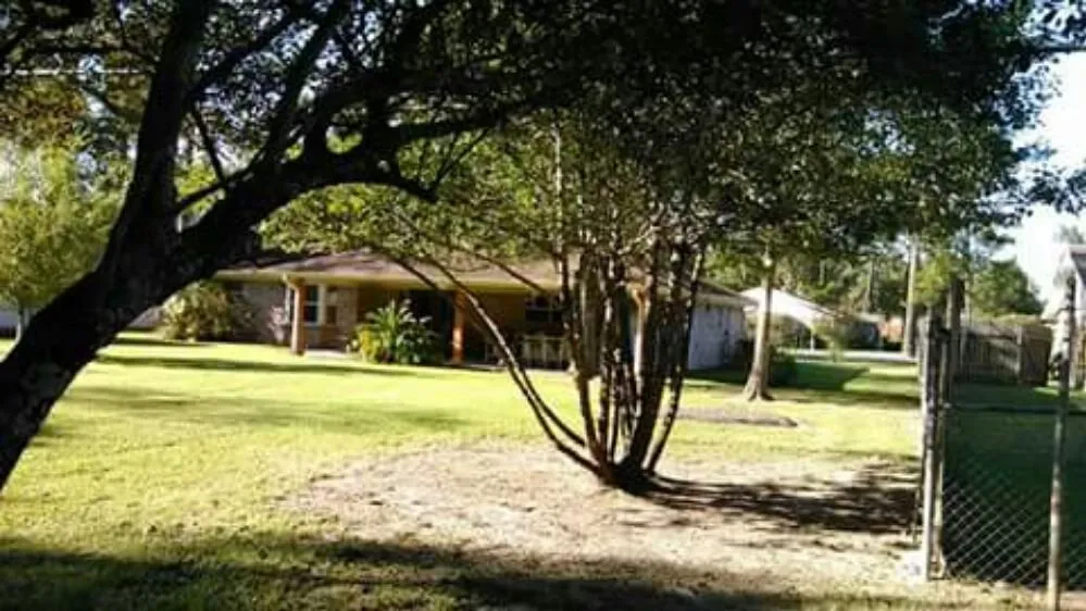 Reliable garden landscaping for outdoor upgrades in Pasadena, TX by Duckworth Tree Service and Landscaping