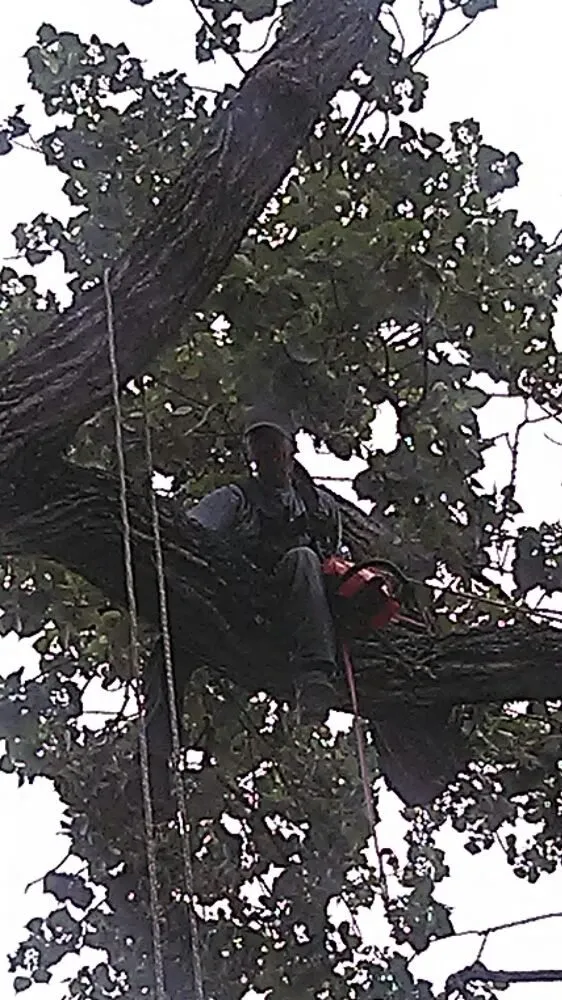 Top-rated lawn mowing service for beautiful yards in Pasadena, TX by Duckworth Tree Service and Landscaping