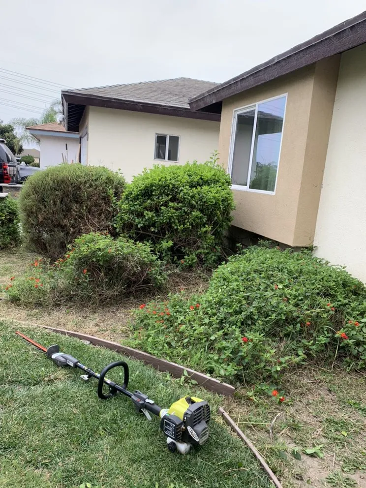 Affordable lawn care service in Oxnard, CA - Ducky Landscape & Waste Management