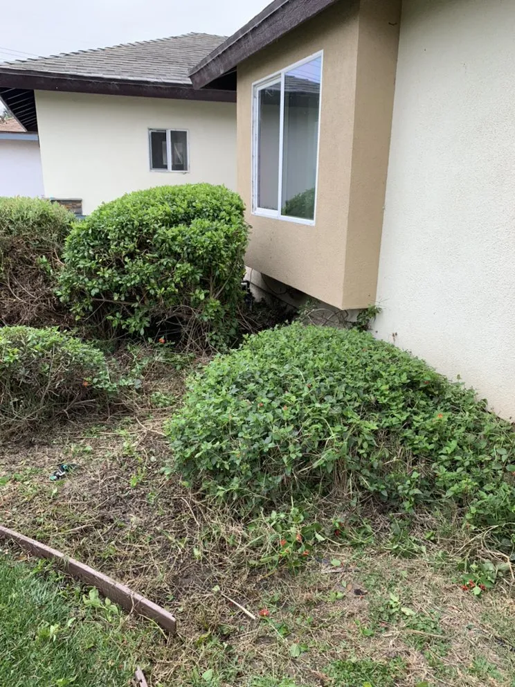 Expert residential landscaping in Oxnard, CA - Ducky Landscape & Waste Management
