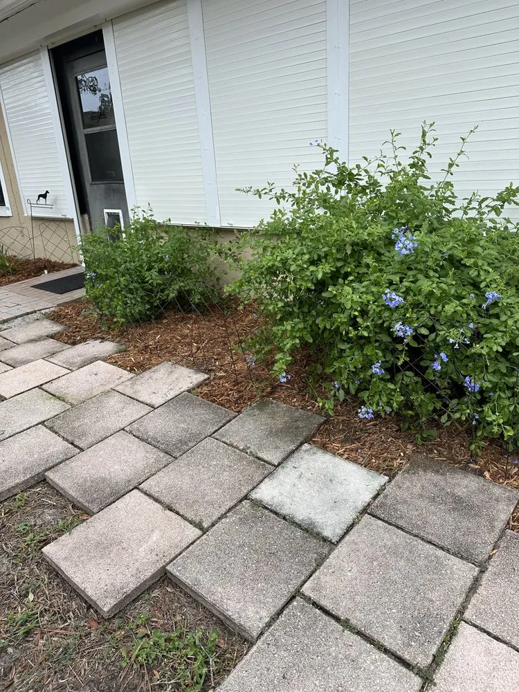 Reliable yard maintenance in Brooksville, FL - Duckys Lawn & Landscaping