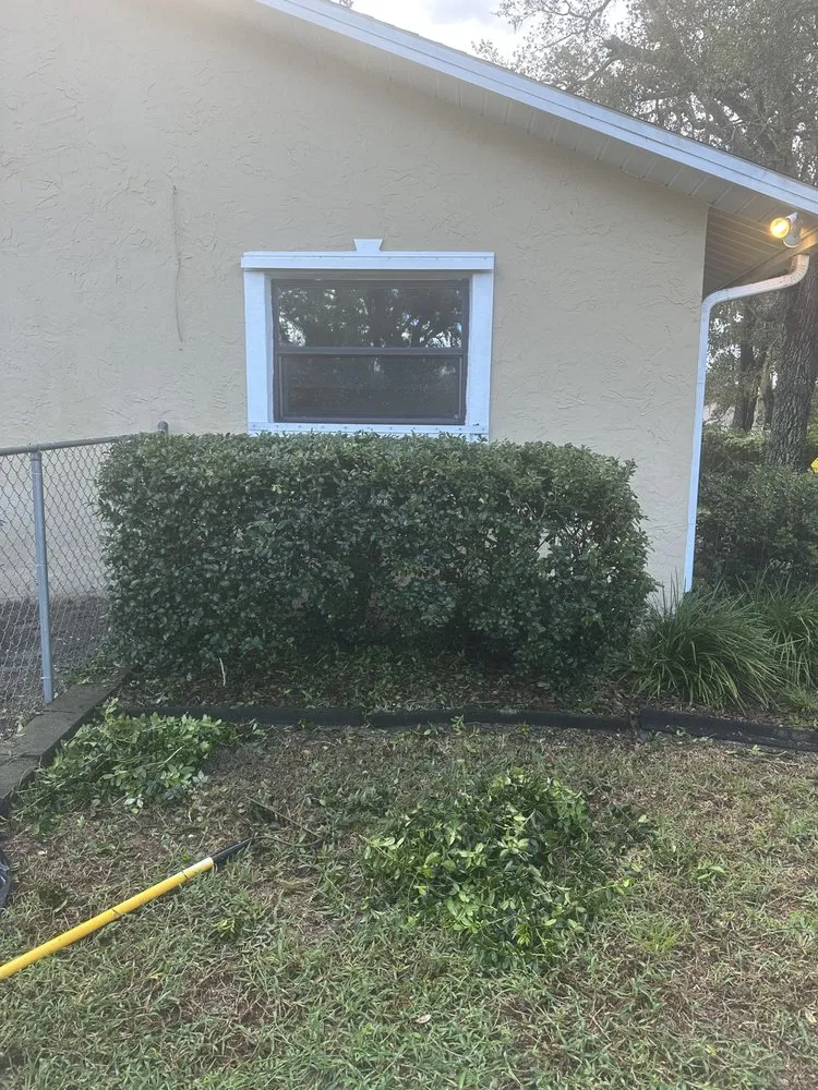 Affordable landscape installation for outdoor upgrades across Brooksville, FL - Duckys Lawn & Landscaping