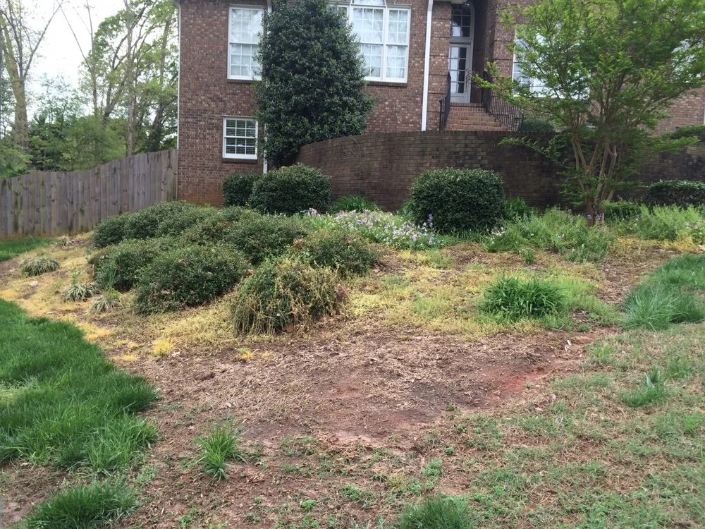 Local landscape design for outdoor upgrades across Starr, SC - Ducworth Lawn & Landscape