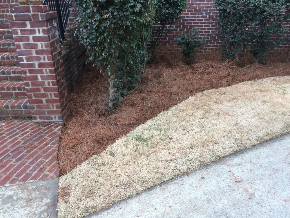 Professional outdoor landscaping experts serving Starr, SC - Ducworth Lawn & Landscape